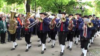 Musikverein MV Zainingen beim Landesmusikfest 2010 in Metzingen Marschmusikbewertung [upl. by Aillil]