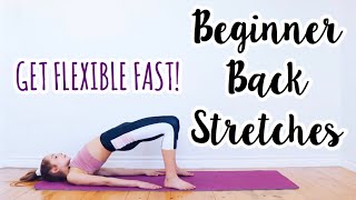 Back Stretches for the Inflexible Beginner Flexibility Routine [upl. by Eelyr101]