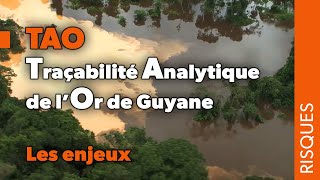 TAO Traçabilité analytique de l’or de Guyane  Les enjeux [upl. by Sackman837]