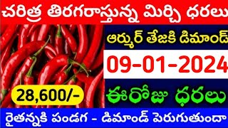 09012024 గుంటూరు మిర్చి మార్కేట్ ధర  Today MirchiRates In market  Mirchi Rate Increase [upl. by Atteirneh]