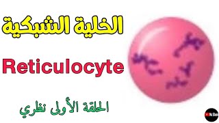 الخلايا الشبكية ما هي؟ أسباب ارتفاعها وأسباب انخفاضها Reticulocyte 🩸 [upl. by Arika]