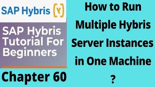 how to run multiple hybris instance in one machine  Run multiple Servers In Hybris  Part 60 [upl. by Ahsieka]