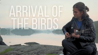 Arrival of the Birds  The Cinematic Orchestra GuitarInstrumental Cover [upl. by Norrehc]