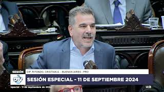 VETO DECRETO 782 Y VUELVE PROYECTO DE LEY NUMERO 27756  Dip Ritondo  Sesión 11092024 [upl. by Antonino]