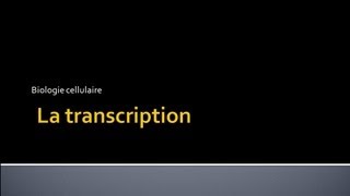 Biologie Cellulaire la transcription [upl. by Ahsilla102]