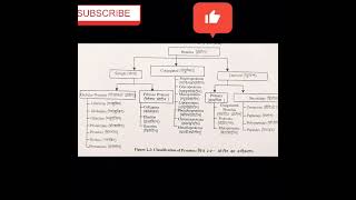 classification of protein protein classification dear shorts [upl. by Enymsaj]