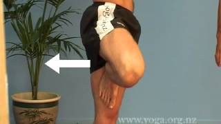 Beginners Online Yoga Class  Classes of 20 Yoga postures [upl. by Ailido]