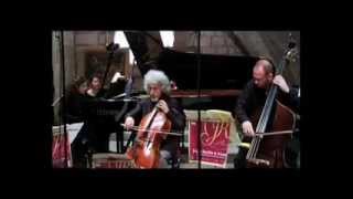 F Schubert Trout quintet  3 Scherzo Official Music Video [upl. by Thorma554]