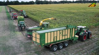 Großeinsatz Maishäckseln 2022 Maisernte Lohnunternehmen Landwirtschaft Silomais farmer corn harvest [upl. by Tarrel]