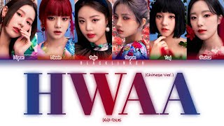 GIDLE  HWAA 火花 Chinese Ver Color Coded Lyrics ManPinEng [upl. by Mohammed161]