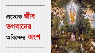 220 প্রত্যেক জীব ভগবানের অবিচ্ছেদ্দ্য অংশ  Caitanya Sandesh [upl. by Ierdna]