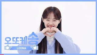 WEEKLY IDOL LOONA AEGYO quotOTTOKE SONGquot BY CHUU [upl. by Hcelemile]