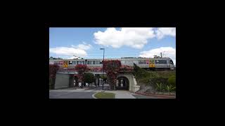 The Doomben Line Brisbanes Part Time Railway shorts australiantrains queenslandrail train [upl. by Koo523]