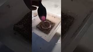 Making a orgone pyramid [upl. by Ariahaj]