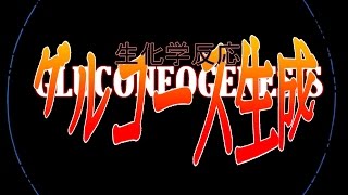 GlucoNeoGenesis Evangelion Subtitles in English and Spanish [upl. by Donna]