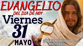 Evangelio del día de Hoy Viernes 31 de Mayo de 2024 Lectura y Reflexión  evangeliodehoy [upl. by Clarence]