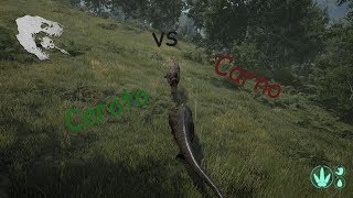 Ceratosaurus vs Carnotaurus  The Isle [upl. by Ellicul453]