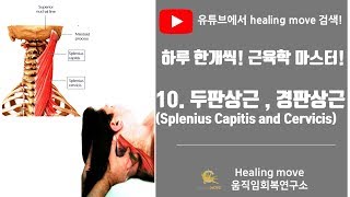 10두판상근과 경판상근머리 목널판근 Splenius Capitis and Cervicis 근육학마스터referred painMPStrigger point [upl. by Sandstrom627]