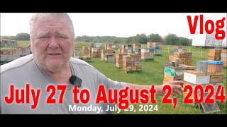 ⏱ Vlog July 27 to August 2That Bee Man [upl. by Ardnaed]