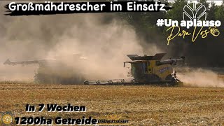 in 7 Wochen 1200ha Getreide Großmähdrescher im Einsatz New Holland 990 Mähdrescher beim dreschen [upl. by Favrot348]