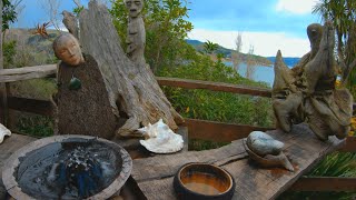 NZ native bird sip  dip close up [upl. by Sone465]