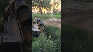 Old Water Wheel Powered By Bulls  shorts apnapunjabae punjab [upl. by Ayanej]