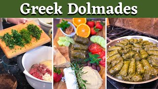 Recipe How to Make Dolmades Stuffed Grape Leaves [upl. by Madelaine]