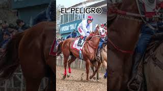 EL GOLDEN vs EL BRINCOS DIERAS vs EL PELIGRO carrerasdecaballos racinghorse final tonala viral [upl. by Hube]