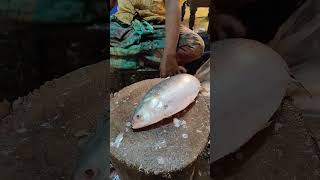 Fast Fish Cutting Skills Hilsha Fish Cutting fishsellers [upl. by Evy]