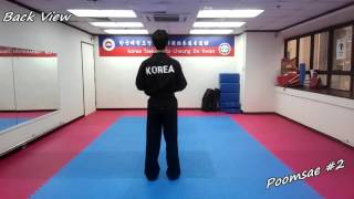 Taekwondo  Poomsae 2 Yi Jang Slowmotion amp Mirror [upl. by Gabriell730]