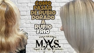 Cómo conseguir un cabello Rubio degradado en color ceniza Tipo Balayage [upl. by Islaen752]