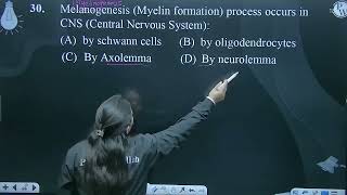 Melanogenesis Myelin formation process occurs in CNS Central Nervous System [upl. by Kirenoj]