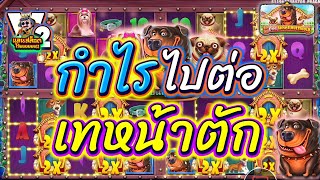 เกมส์บ้านหมาPP ➤ กำไรไปต่อ เทหน้าตัก ➤ The dog house multihold ค่าย PP ➤ Pragmatic Play [upl. by Claudia943]