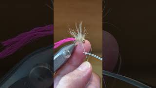 RAG DOLL Dressed Up Euro Nymph  flytying flytyingmaterials flyfishing shorts euronymphing [upl. by Ennaesor]