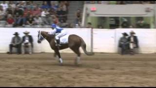 2010 Freestyle Reining Winner [upl. by Staal]