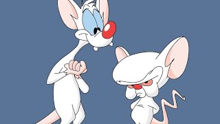 Pinky and the Brain Intro [upl. by Notgnilliw]