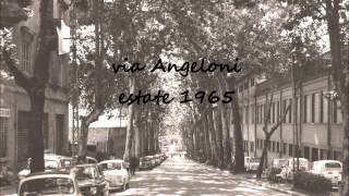 PERUGIA 1966wmv [upl. by Auhsej]