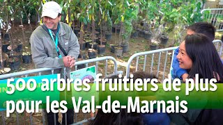 500 arbres fruitiers de plus pour les ValdeMarnais [upl. by Rodnas]