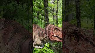 💎 El CERATOSAURUS  El Cazador jurásico TODOTERRENO Parte II 🌎 [upl. by Wise]