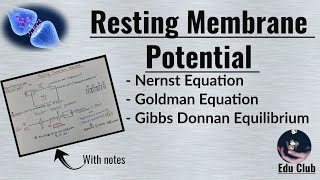 Resting Membrane Potential  Nernst potential  Equilibrium potential   Nerve Muscle Physiology [upl. by Waine]