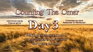 Counting the Omer Day 3 [upl. by Grevera]