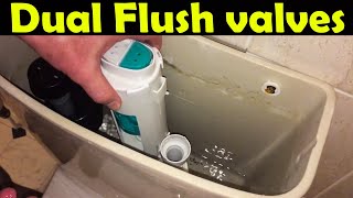 How to Repair a Leaking Caroma Dual Flush Toilet  Fix Common Toilet Tank Problems — 2021 [upl. by Emelun402]