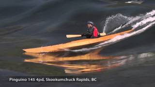 Pygmy Pinguino 145 4PD Wooden Kayak Surfing Video at Skookumchuck Narrows [upl. by Nnaasil889]