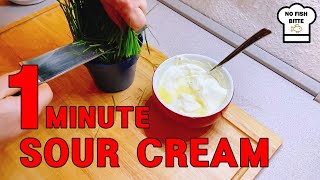 Einfaches SOUR CREAM Rezept IN EINER MINUTE selber machen geht das [upl. by Nomannic]