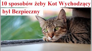 10 sposobów żeby Kot Wychodzący był Bezpieczny [upl. by Croix]