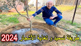 طريقة تغذية و تسميد الأشجار المثمرة 2024 [upl. by Aihsyla]