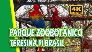 PARQUE ZOOBOTÂNICO DE TERESINA PIAUÍ BRASIL  TERESINA ZOO 4K [upl. by Salomo438]