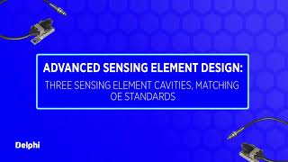 EN Introducing NOx sensors from Delphi  Emissions Control [upl. by Frendel]