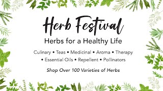 Herb Festival [upl. by Negam]