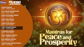 10 Mantras For Peace of Mind And Prosperity  Shiv Mantra  Shanti Mantra Chamunda Mantra [upl. by Anaujnas]